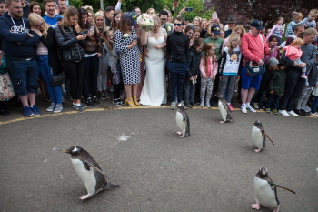 Wedding photographer Edinburgh